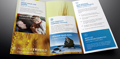Tri-fold brochure A3 size