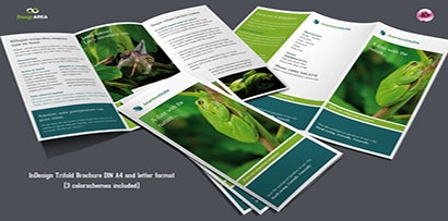 Tri-fold brochure A4 size